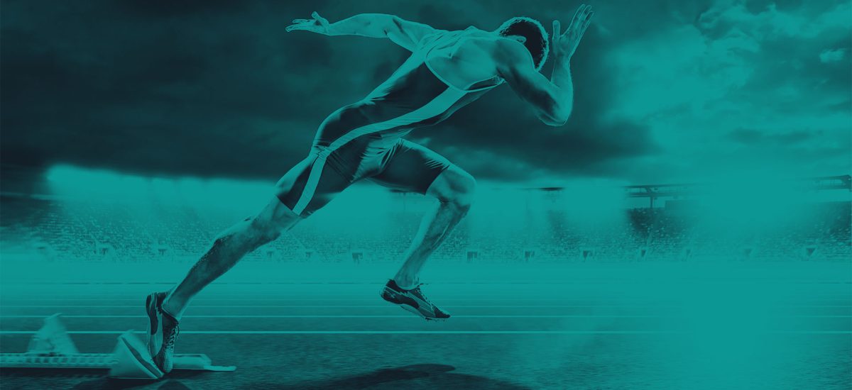 sprinter-website-wordpress